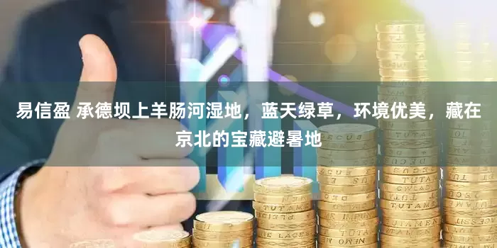 易信盈 承德坝上羊肠河湿地，蓝天绿草，环境优美，藏在京北的宝藏避暑地