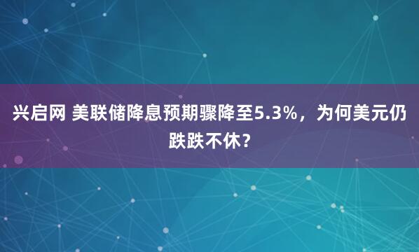 兴启网 美联储降息预期骤降至5.3%，为何美元仍跌跌不休？