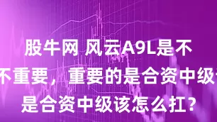 股牛网 风云A9L是不是真豪华不重要，重要的是合资中级该怎么扛？