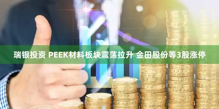 瑞银投资 PEEK材料板块震荡拉升 金田股份等3股涨停