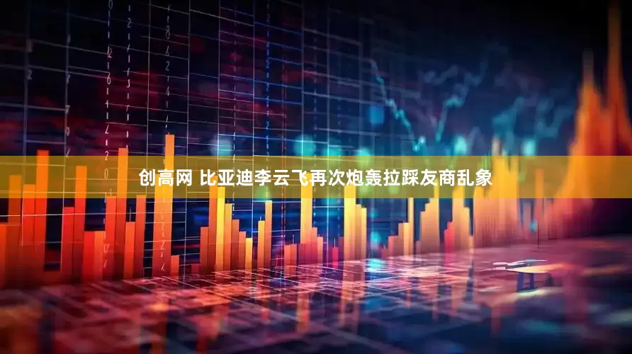 创高网 比亚迪李云飞再次炮轰拉踩友商乱象
