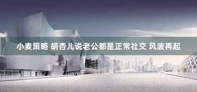 小麦策略 胡杏儿说老公都是正常社交 风波再起