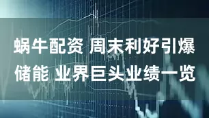 蜗牛配资 周末利好引爆储能 业界巨头业绩一览