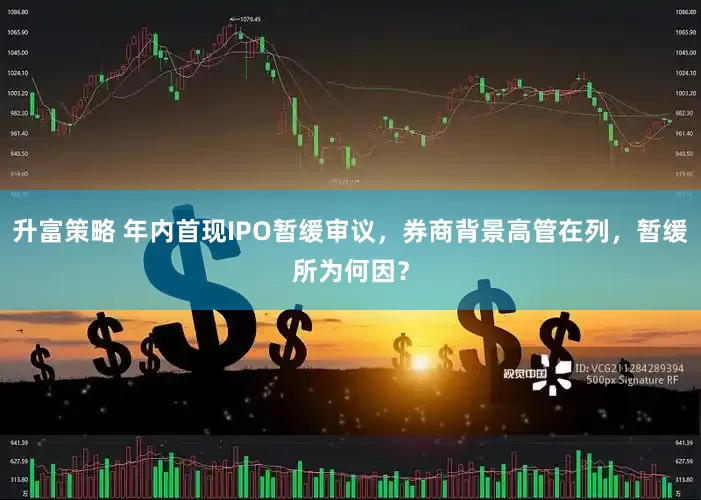 升富策略 年内首现IPO暂缓审议，券商背景高管在列，暂缓所为何因？
