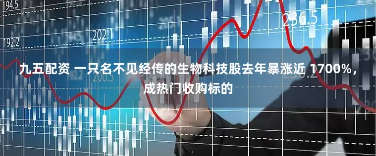 九五配资 一只名不见经传的生物科技股去年暴涨近 1700%，成热门收购标的