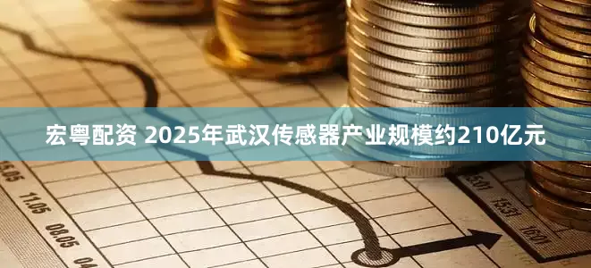 宏粤配资 2025年武汉传感器产业规模约210亿元